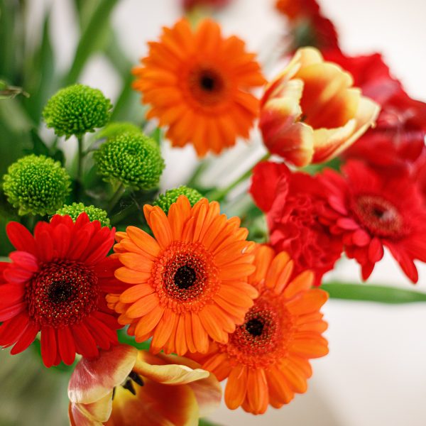 Le jardin de Tantine, —, 