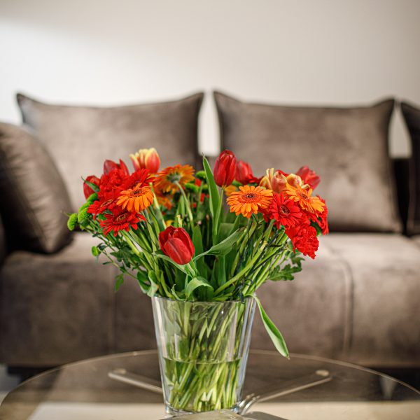 Le jardin de Tantine, —, 