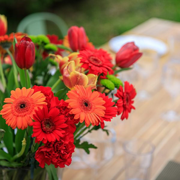 Le jardin de Tantine, —, 
