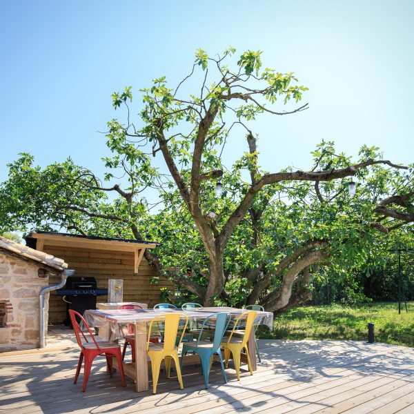 Le jardin de Tantine, —, 