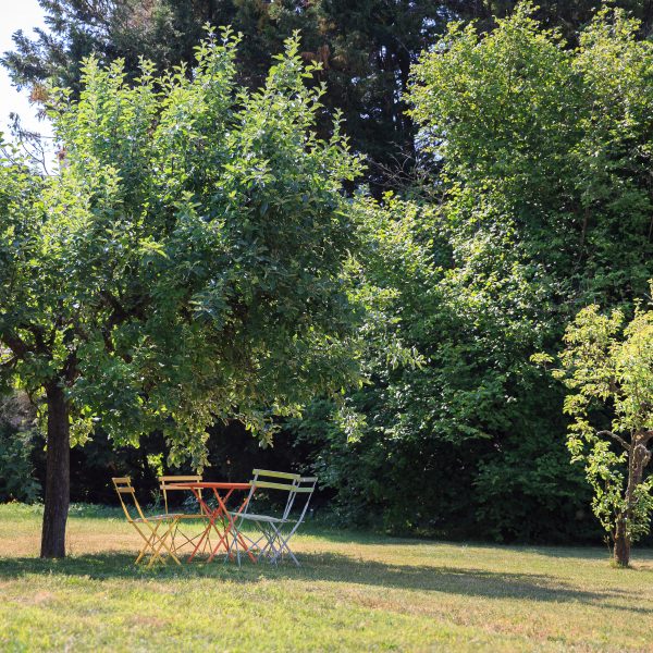 Le jardin de Tantine, —, 