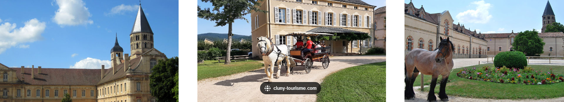 le jardin de tantine