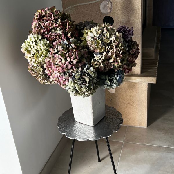 Le jardin de Tantine, —, 